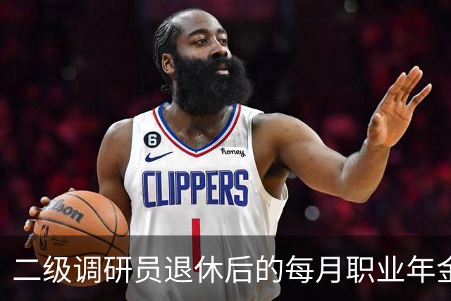 二级调研员退休后的每月职业年金收入揭秘